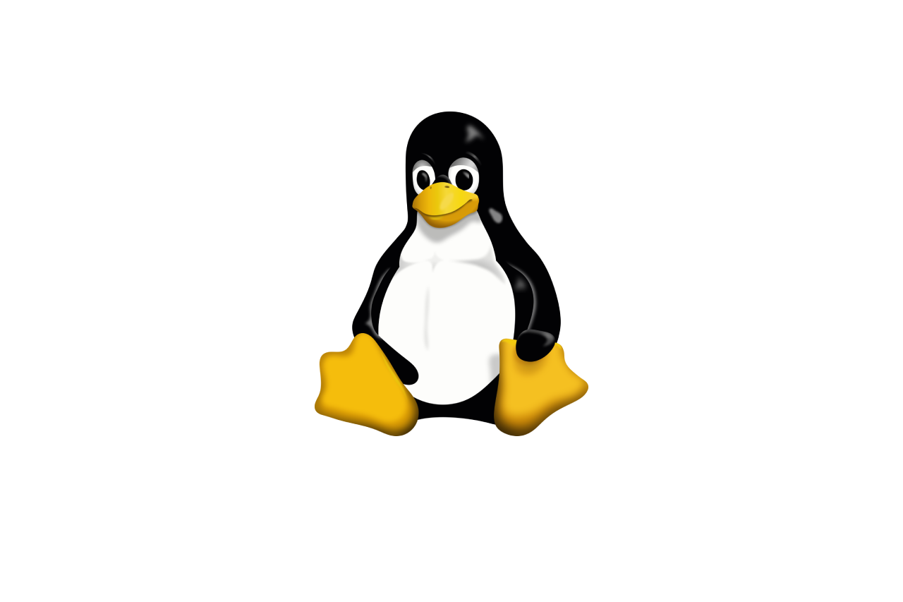 Proxy for Linux